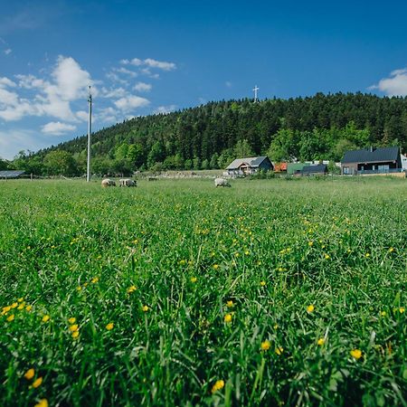 Apartamenty Lesna Limanowa Exterior foto